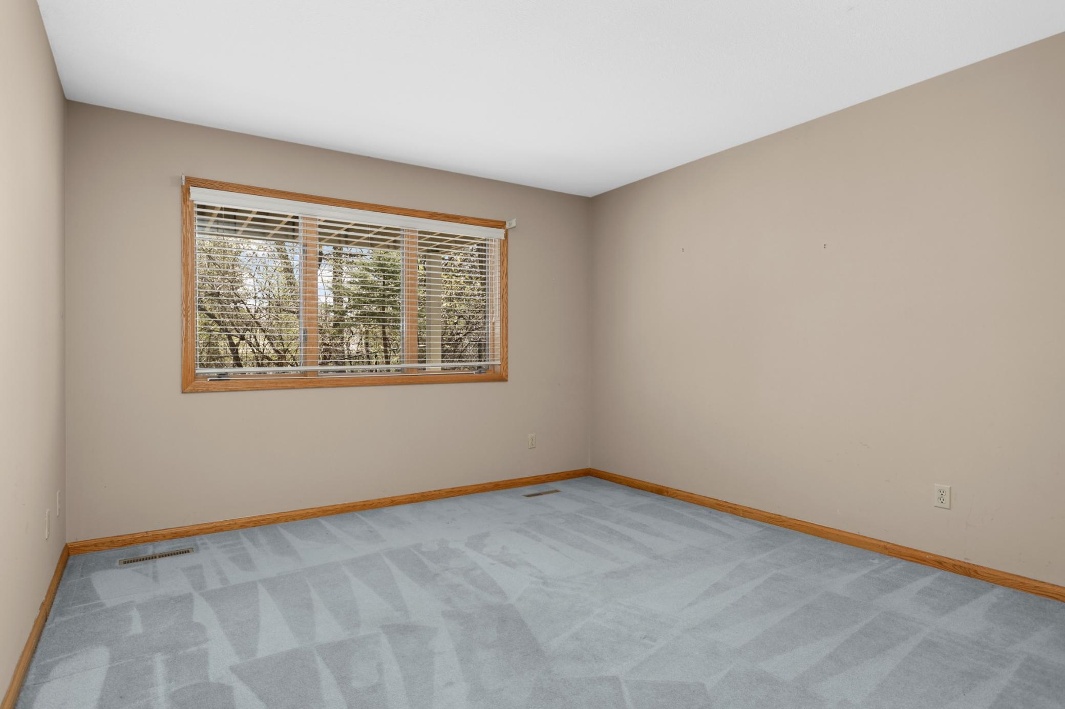 Lower level bedroom with large closet