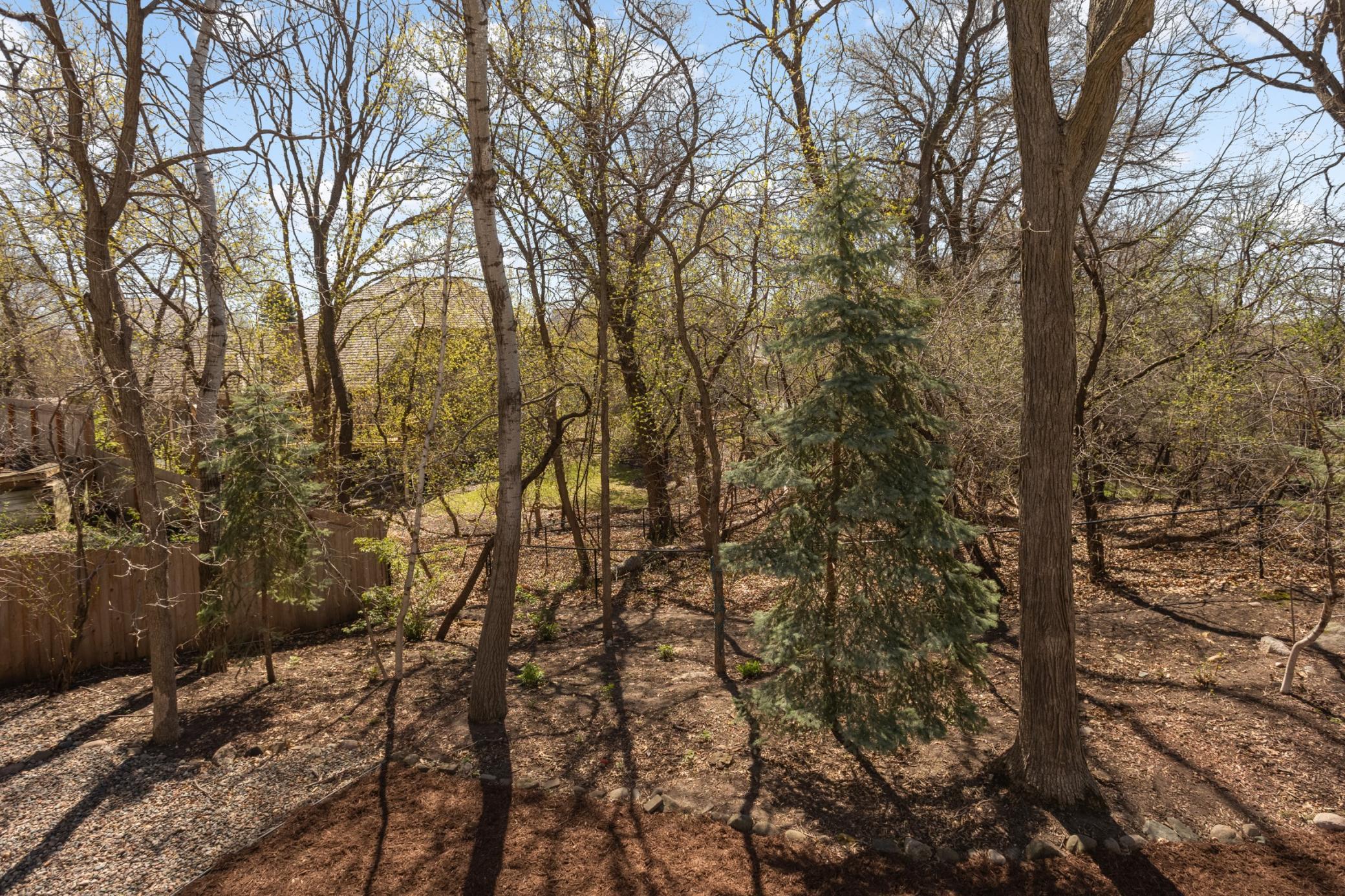 Abundant tree coverage and fenced yard