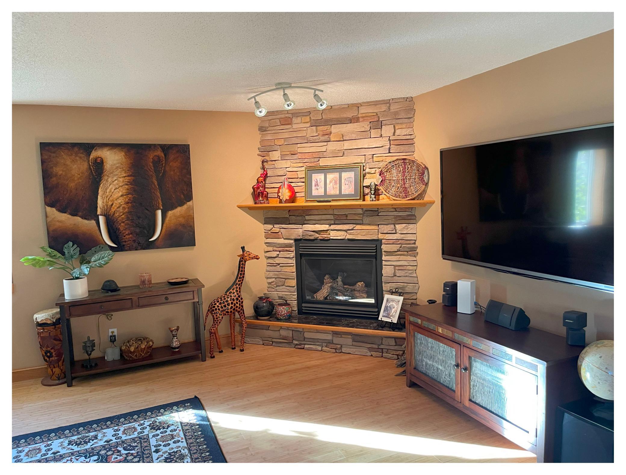 Family Rm Gas Fireplace.jpg
