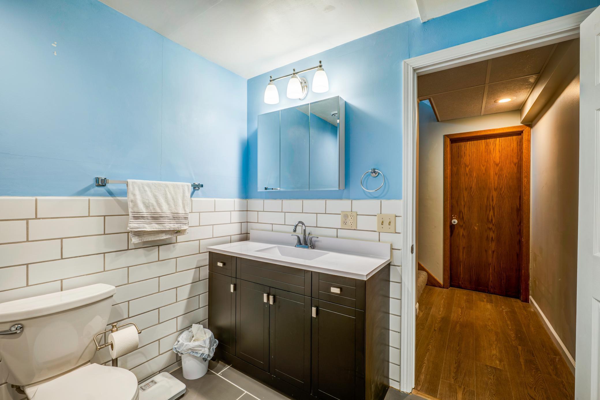 Lower Level Bathroom