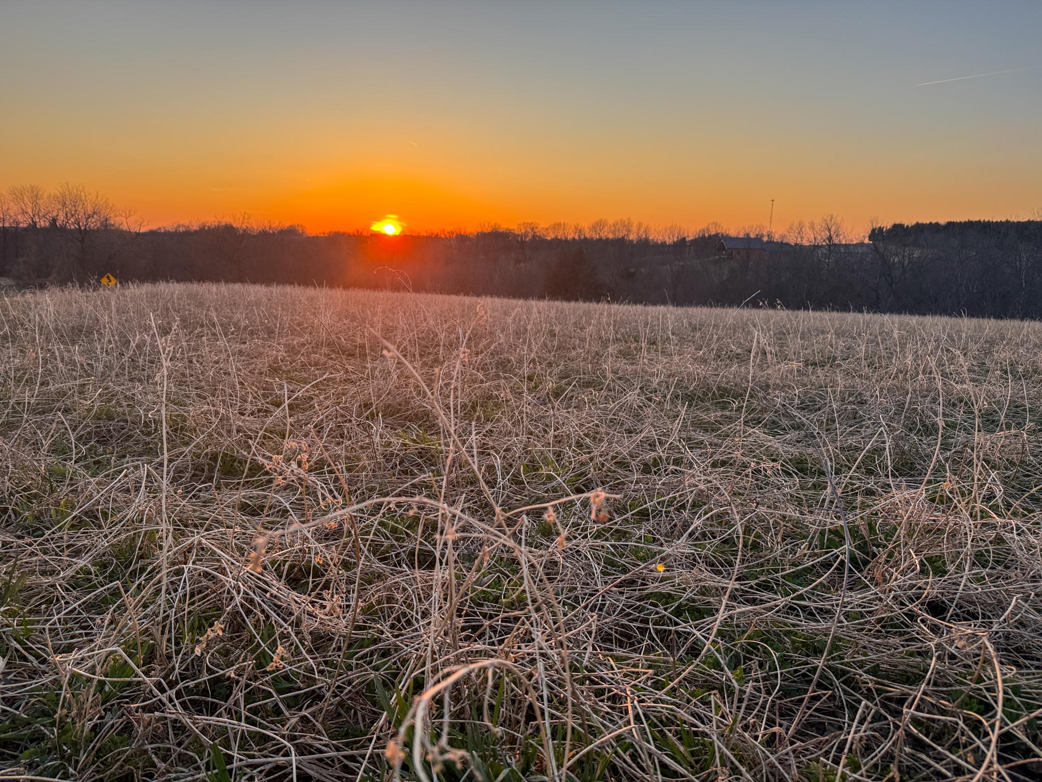 Pepin Bluff 1-14.jpg