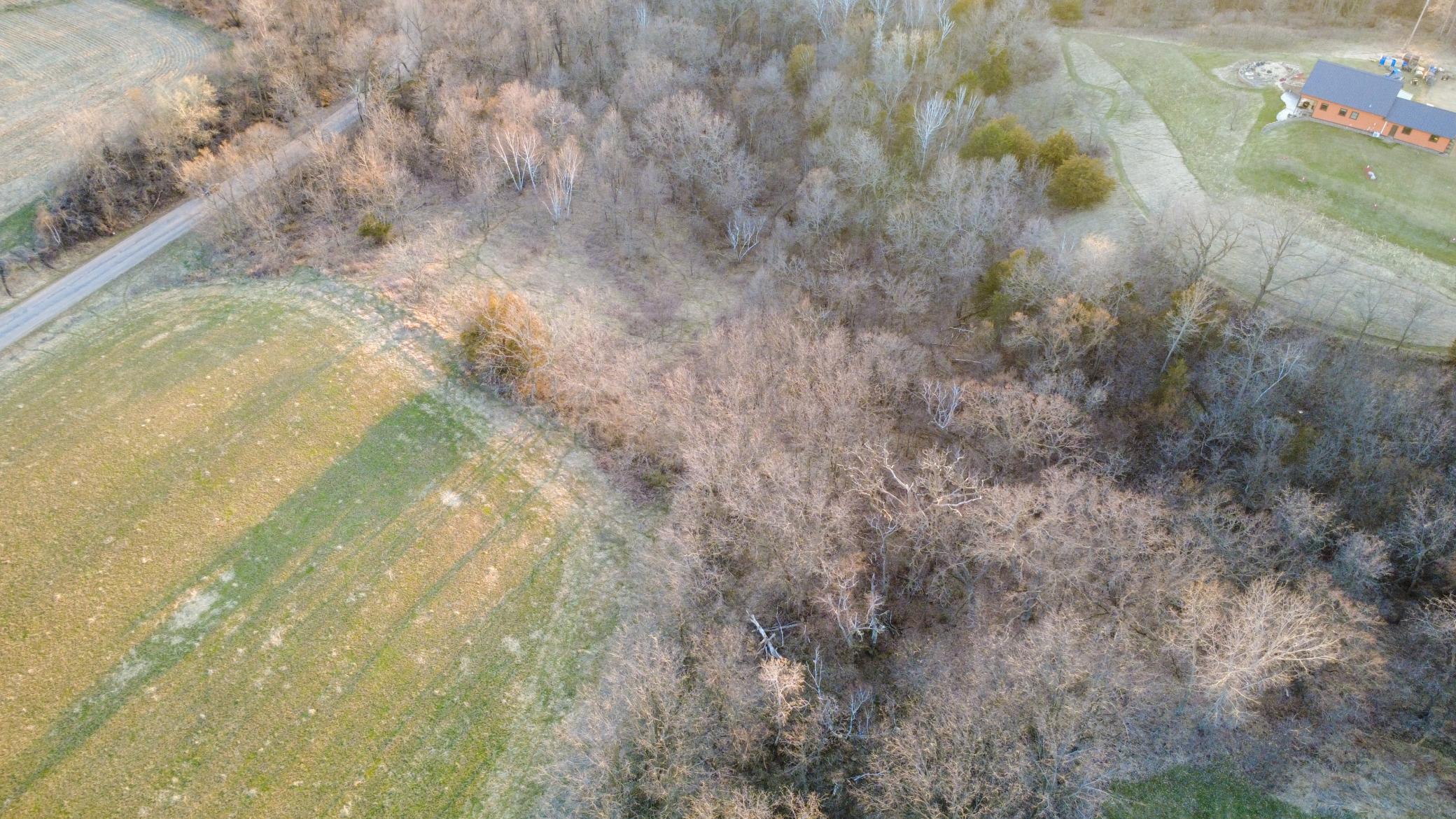 Pepin Bluff 1-05.jpg