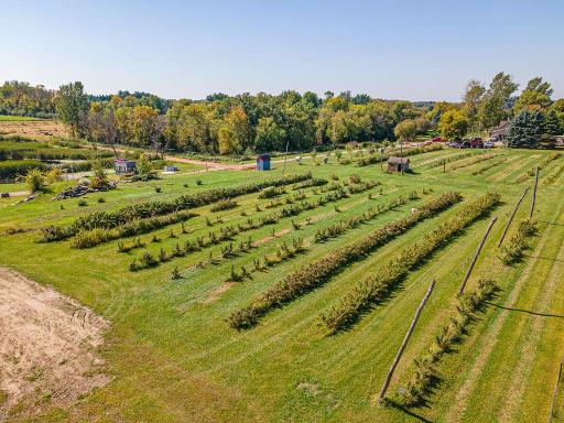 16385 310th Street, Center City, MN 55012