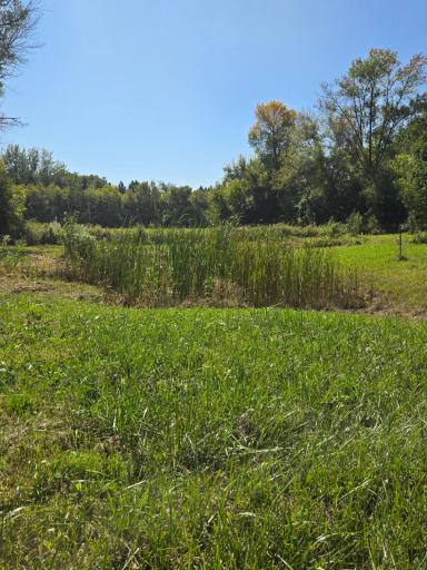 16385 310th Street, Center City, MN 55012