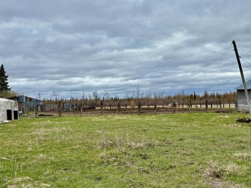 Cattle yard