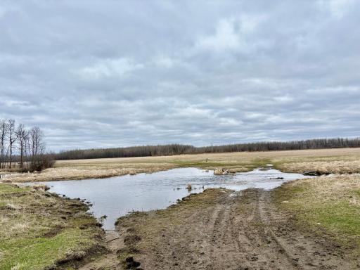 Bartons Brook flowing over the access to the back part of the property