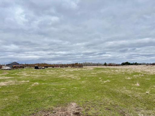 Cattle yard