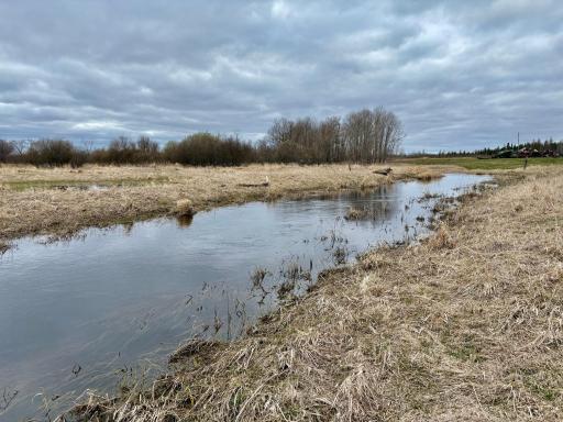 Bartons Brook