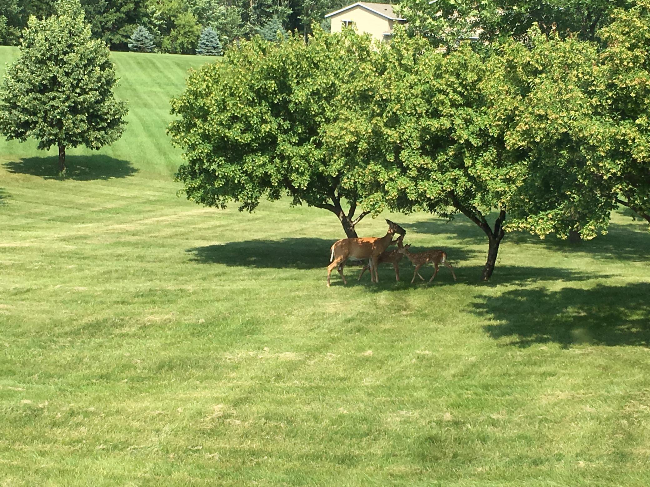 20180629_210812868_iOS (1).jpg