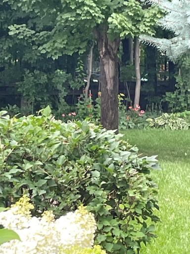 10850 Woodland Drive, Chisago City, MN 55013