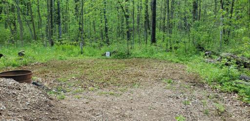 Wooded lot with a cleared pad and driveway