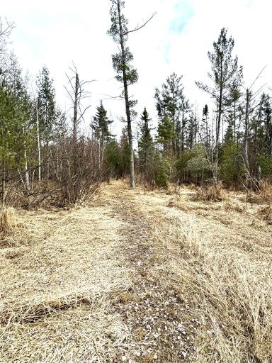 24996 Horseshoe Road, Akeley, MN 56433