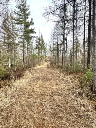 24996 Horseshoe Road, Akeley, MN 56433