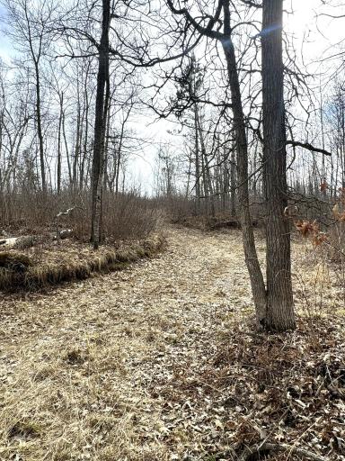 24996 Horseshoe Road, Akeley, MN 56433