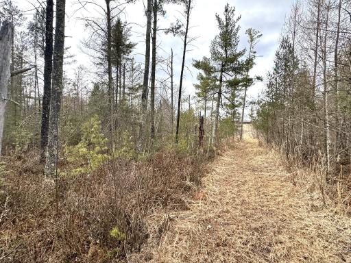 24996 Horseshoe Road, Akeley, MN 56433