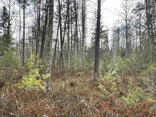 24996 Horseshoe Road, Akeley, MN 56433