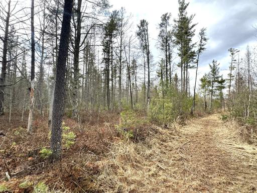 24996 Horseshoe Road, Akeley, MN 56433