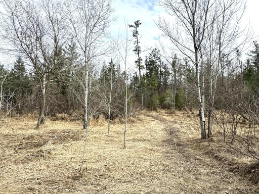 24996 Horseshoe Road, Akeley, MN 56433