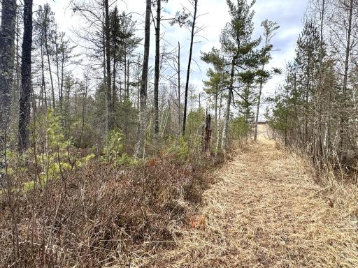 24996 Horseshoe Road, Akeley, MN 56433