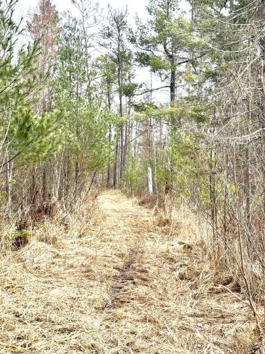 24996 Horseshoe Road, Akeley, MN 56433