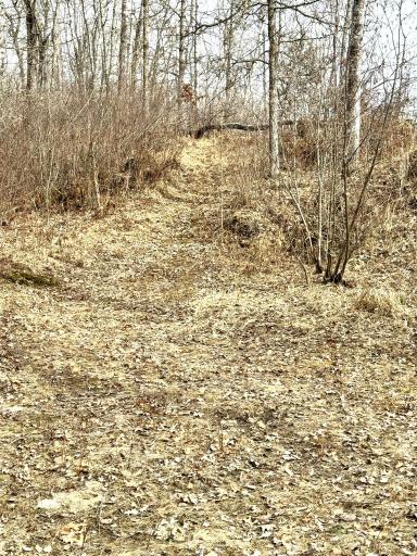 24996 Horseshoe Road, Akeley, MN 56433