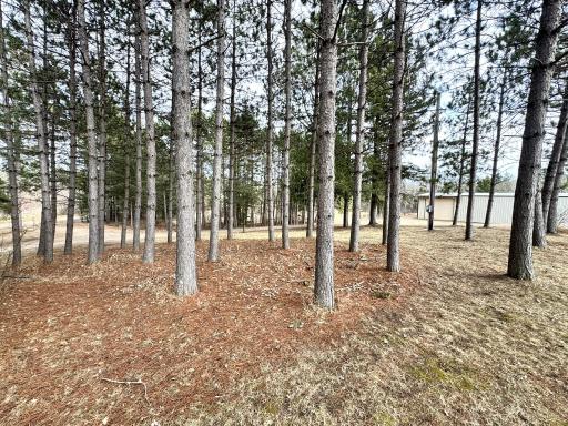 24996 Horseshoe Road, Akeley, MN 56433