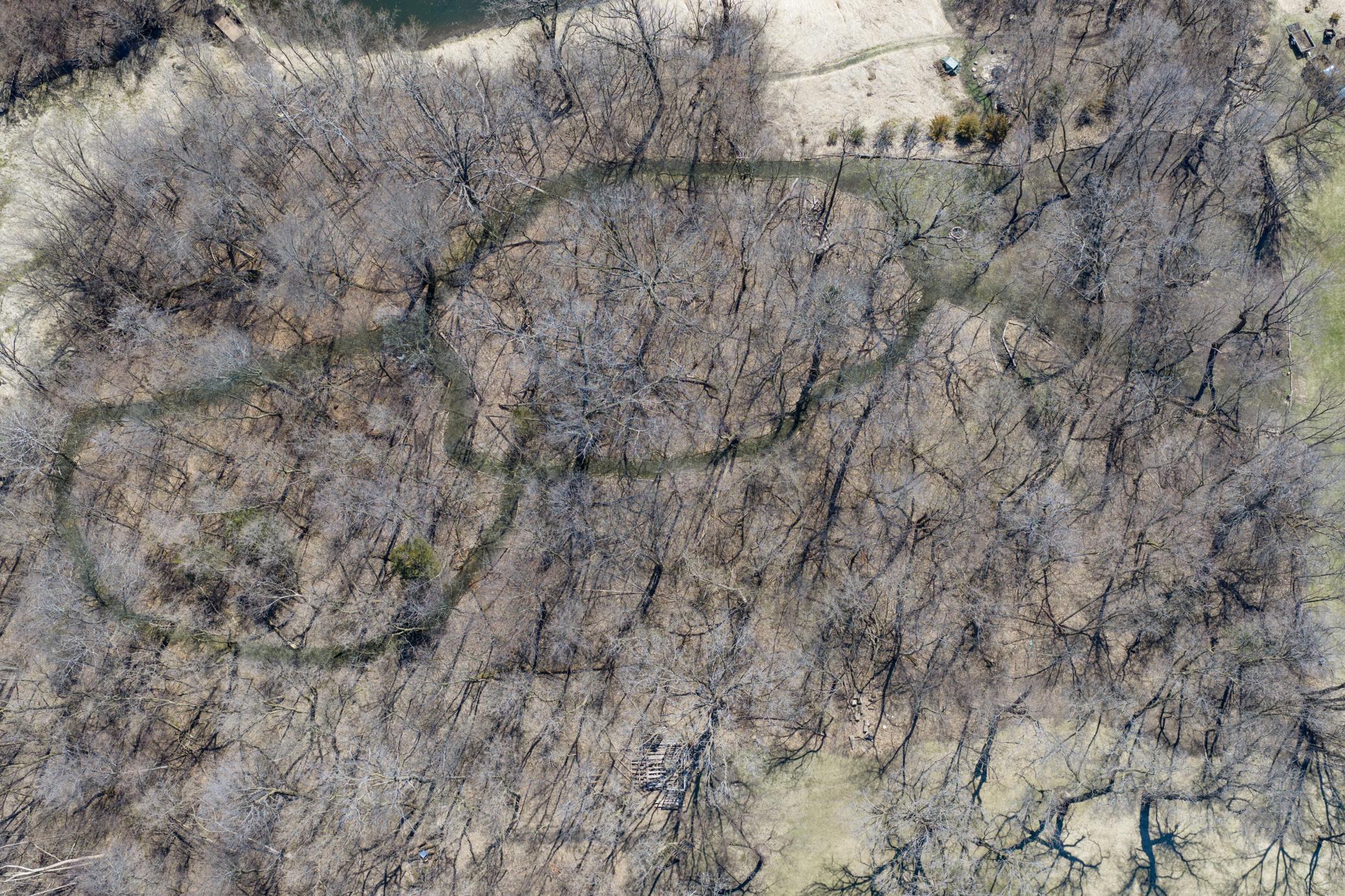 Explore the walking paths in the woods. Look for the firepit, picnic area and sledding hill.