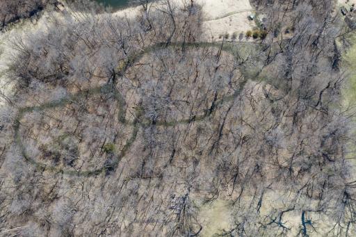 Explore the walking paths in the woods. Look for the firepit, picnic area and sledding hill.
