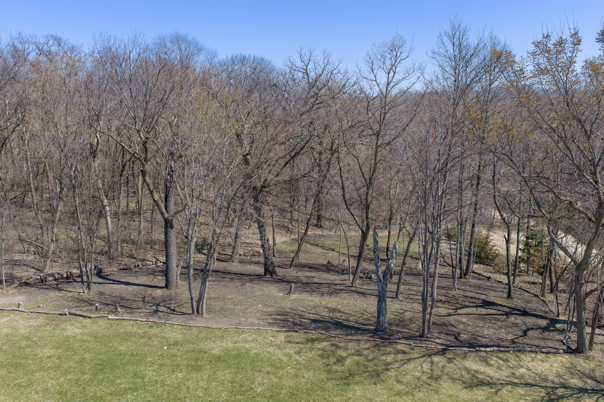 Your own private woods.