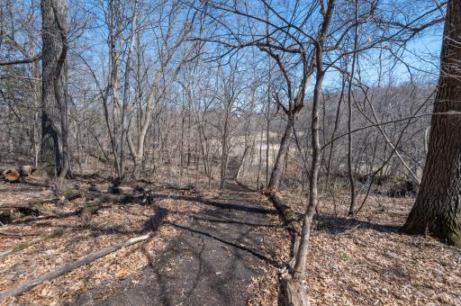 Stroll through your own woods on the walking paths