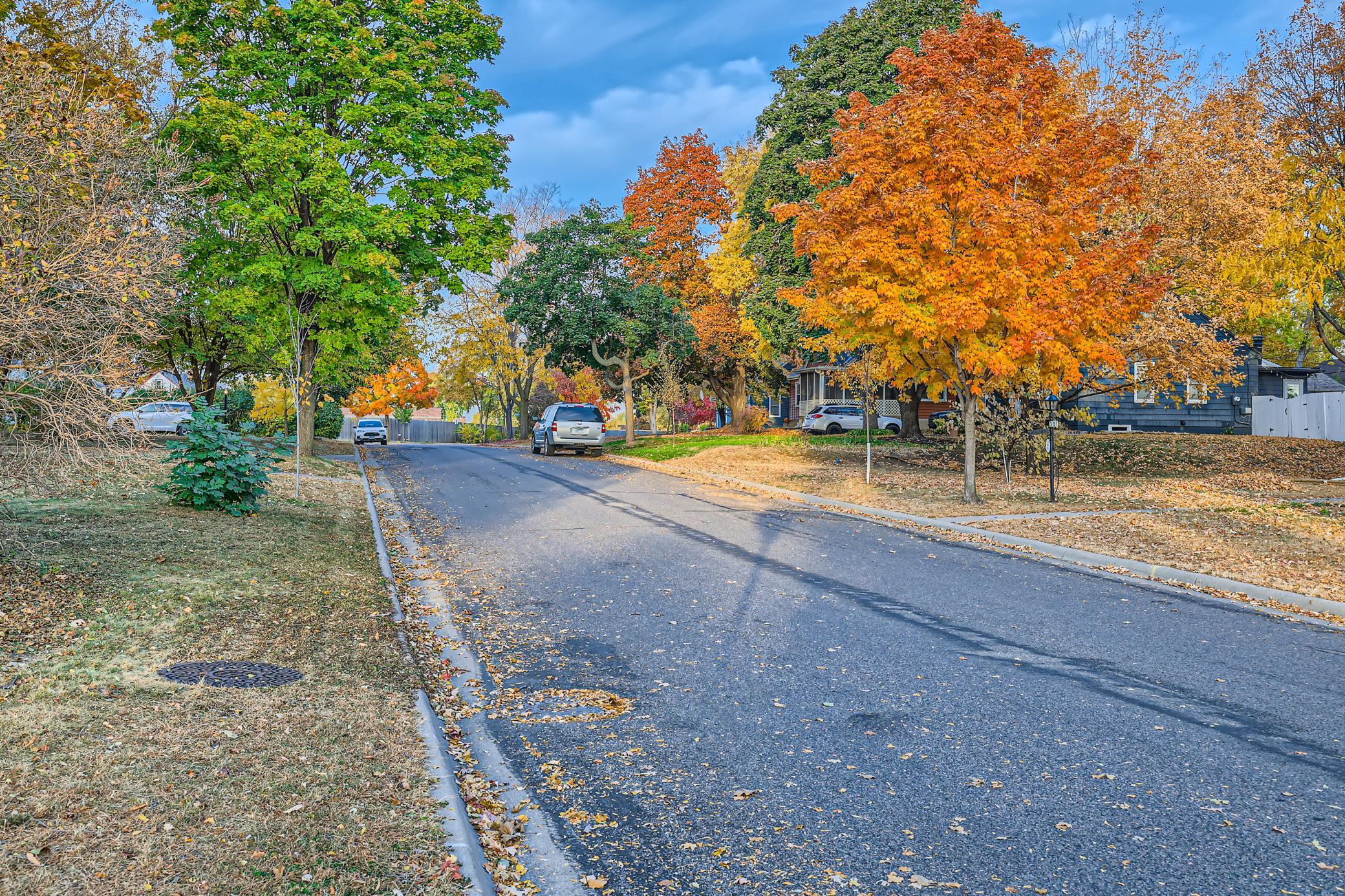 28 Quiet Neighborhood a Block from Burnes Park.jpg