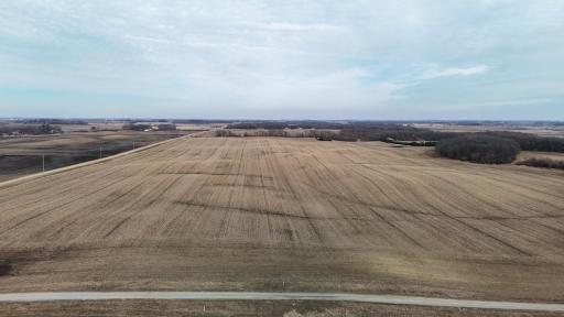 dji_fly_20260325_165410_0310_1774623667720_photo.jpg