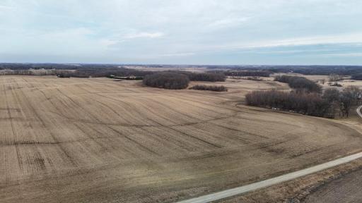 dji_fly_20260325_165416_0311_1774623667513_photo.jpg