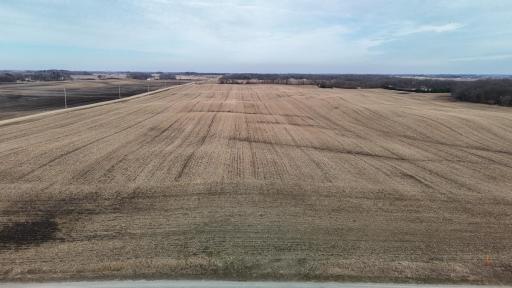 dji_fly_20260325_165442_0312_1774623667303_photo.jpg