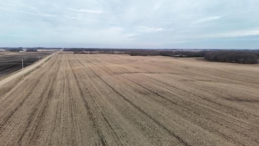 dji_fly_20260325_165730_0318_1774623665658_photo.jpg