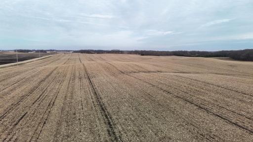 dji_fly_20260325_165738_0319_1774623665392_photo.jpg