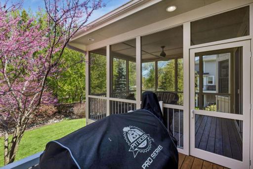 Grilling deck off of screen porch off of kitchen