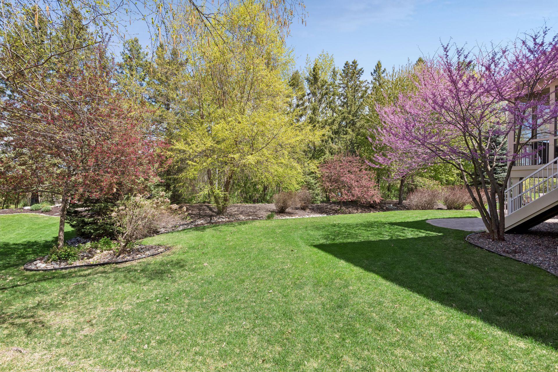 Beautiful backyard trees for added privacy
