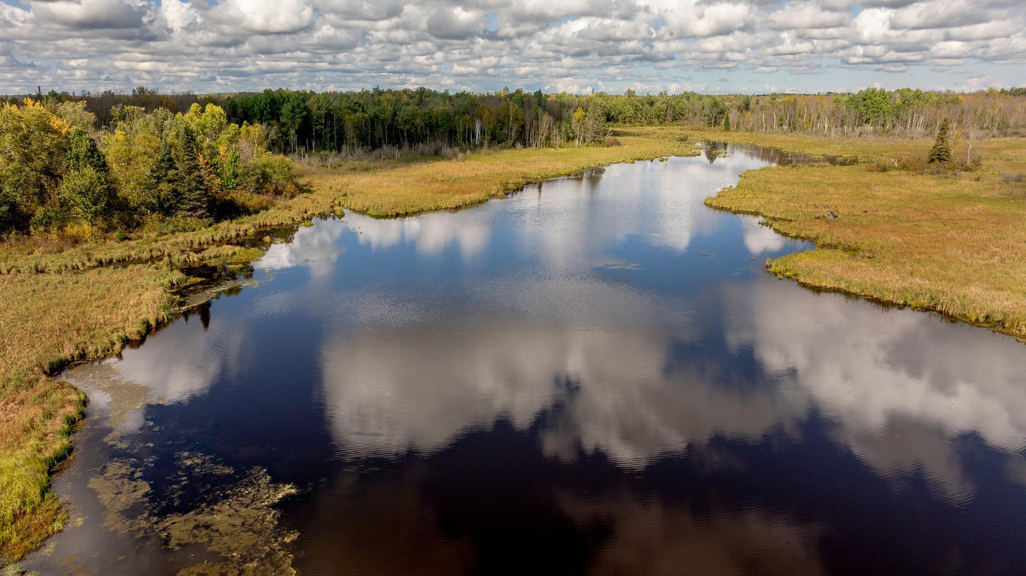 20+ Acres Beaver Pond