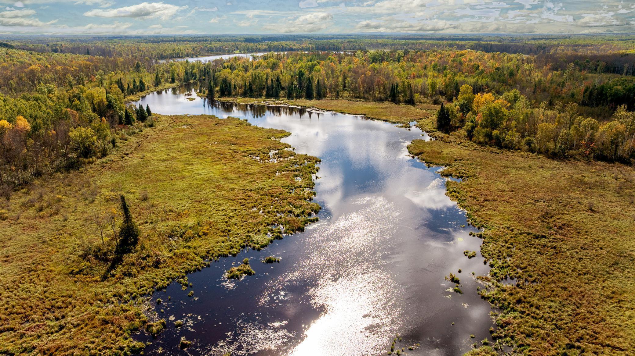 20+ Acres Beaver Pond