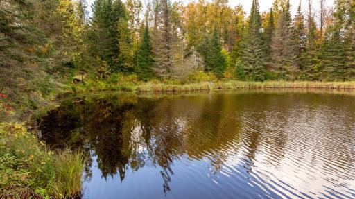 44047 Little Pine Road, Emily, MN 56447
