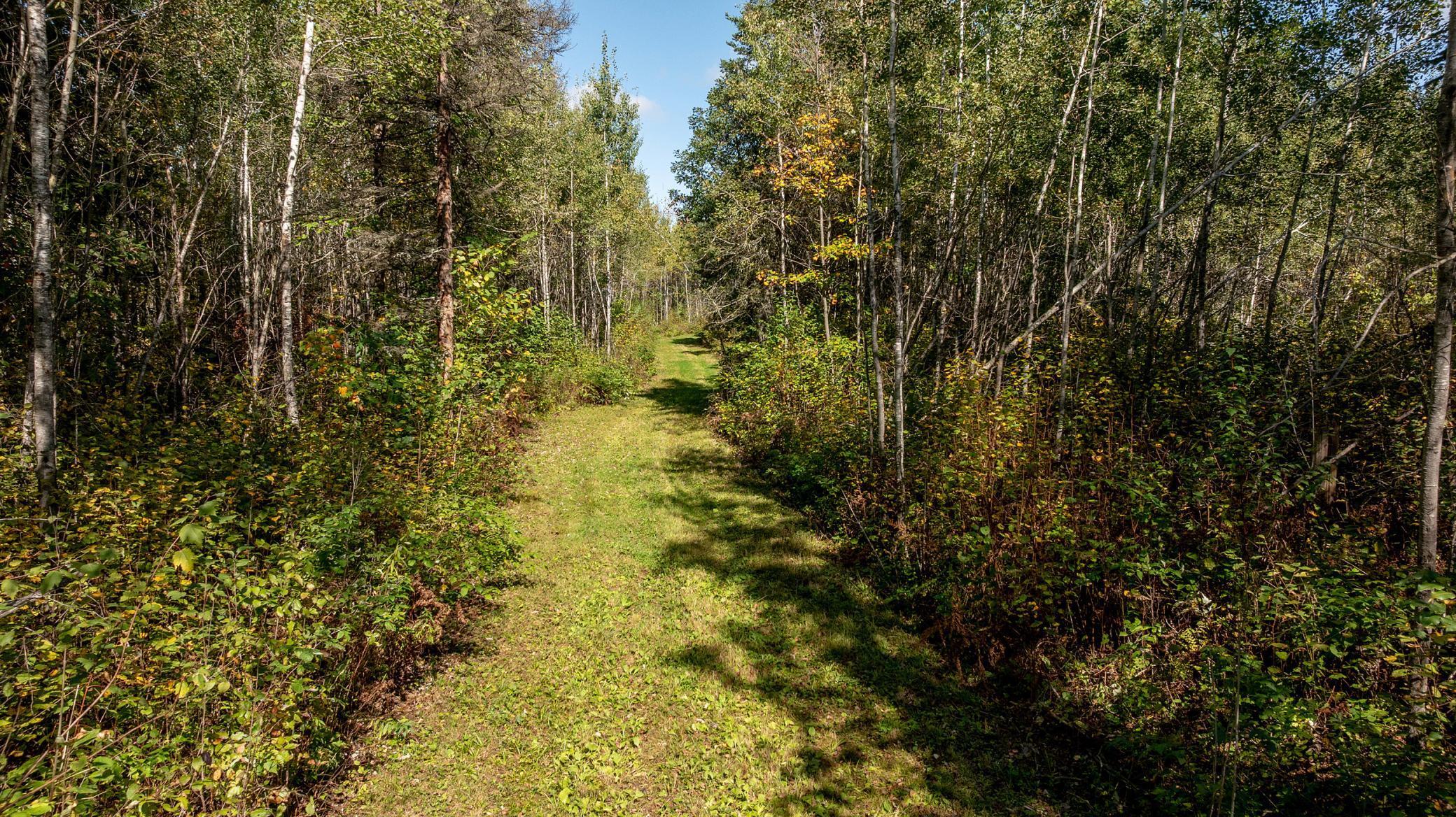 8+ Miles of Mowed Trails