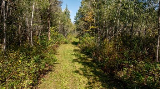 44047 Little Pine Road, Emily, MN 56447