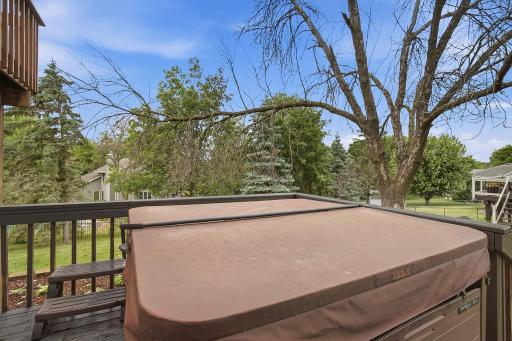 Deck view with hot tub overlooking the mature backyard setting