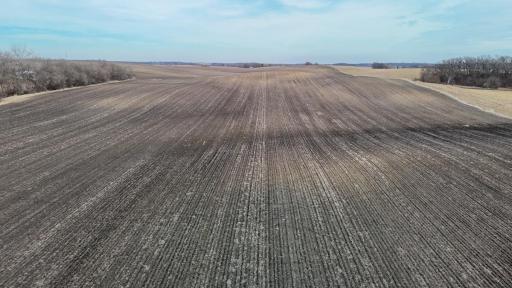 dji_fly_20260325_164104_0231_1774623687848_photo.jpg