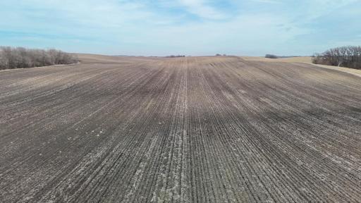 dji_fly_20260325_164110_0232_1774623687582_photo.jpg