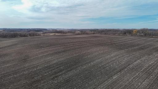 dji_fly_20260325_164716_0261_1774623680403_photo.jpg