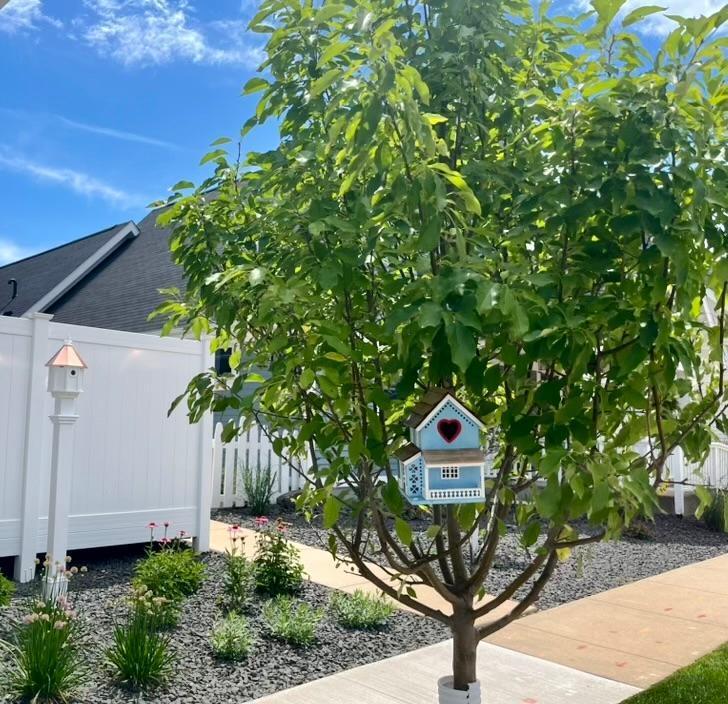 Exterior Summer 4.jpeg