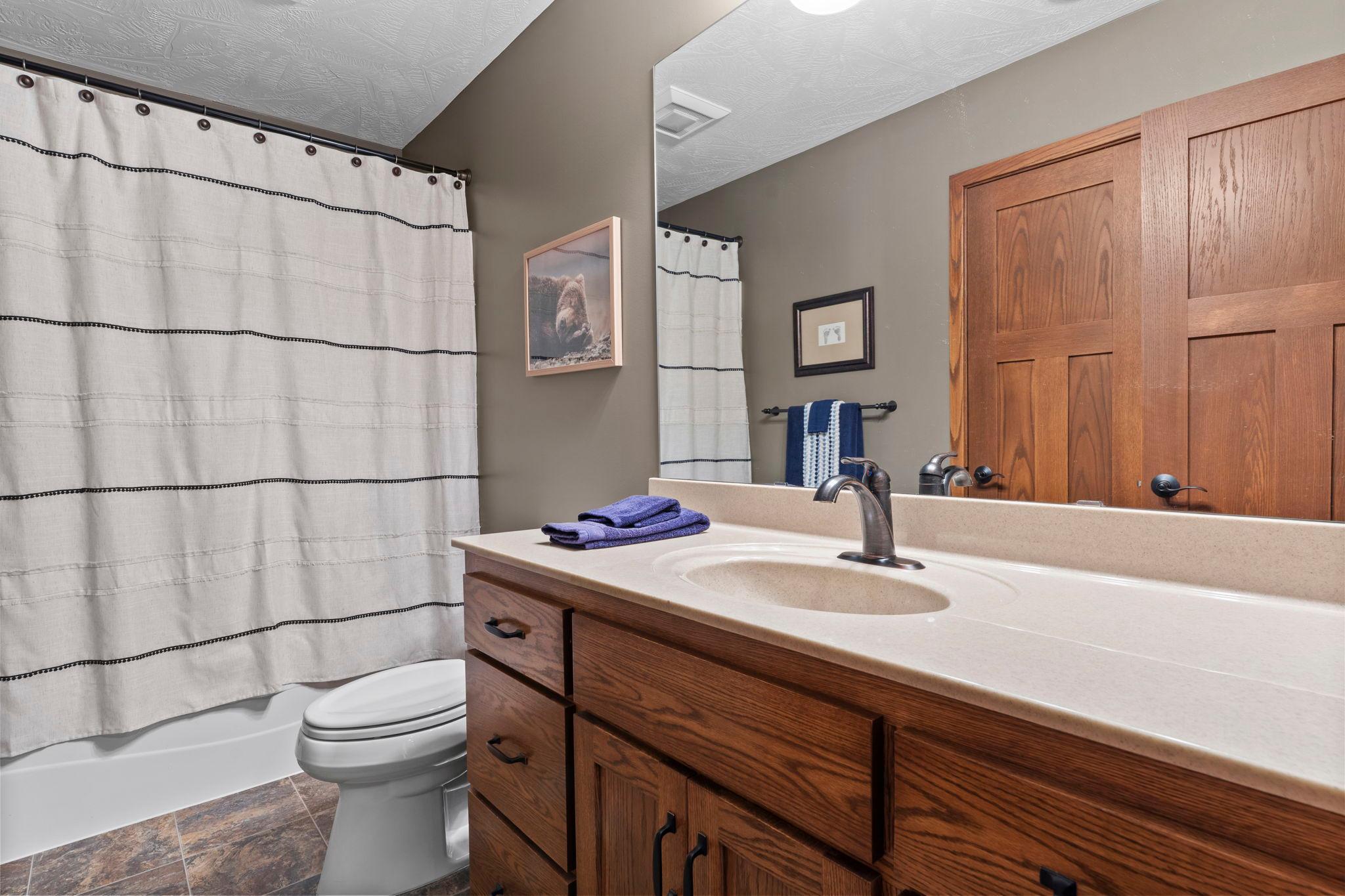Lower level full bathroom