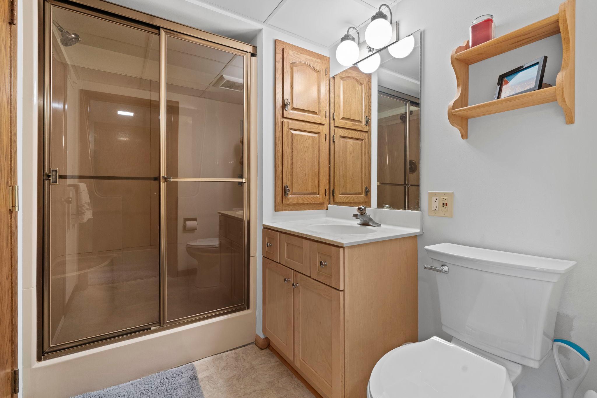 Lower level bathroom